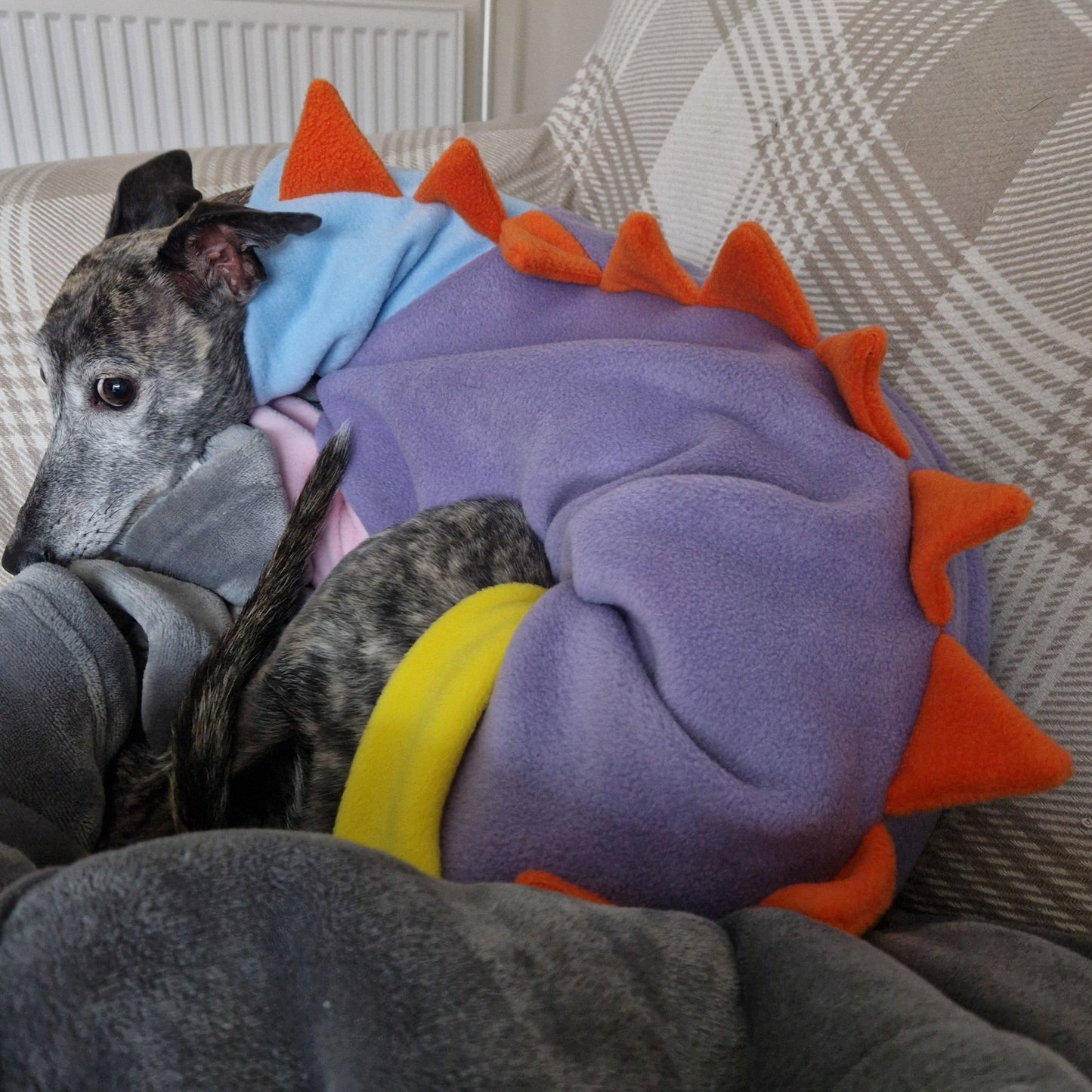 Polar Fleece Dinosaur Jumper