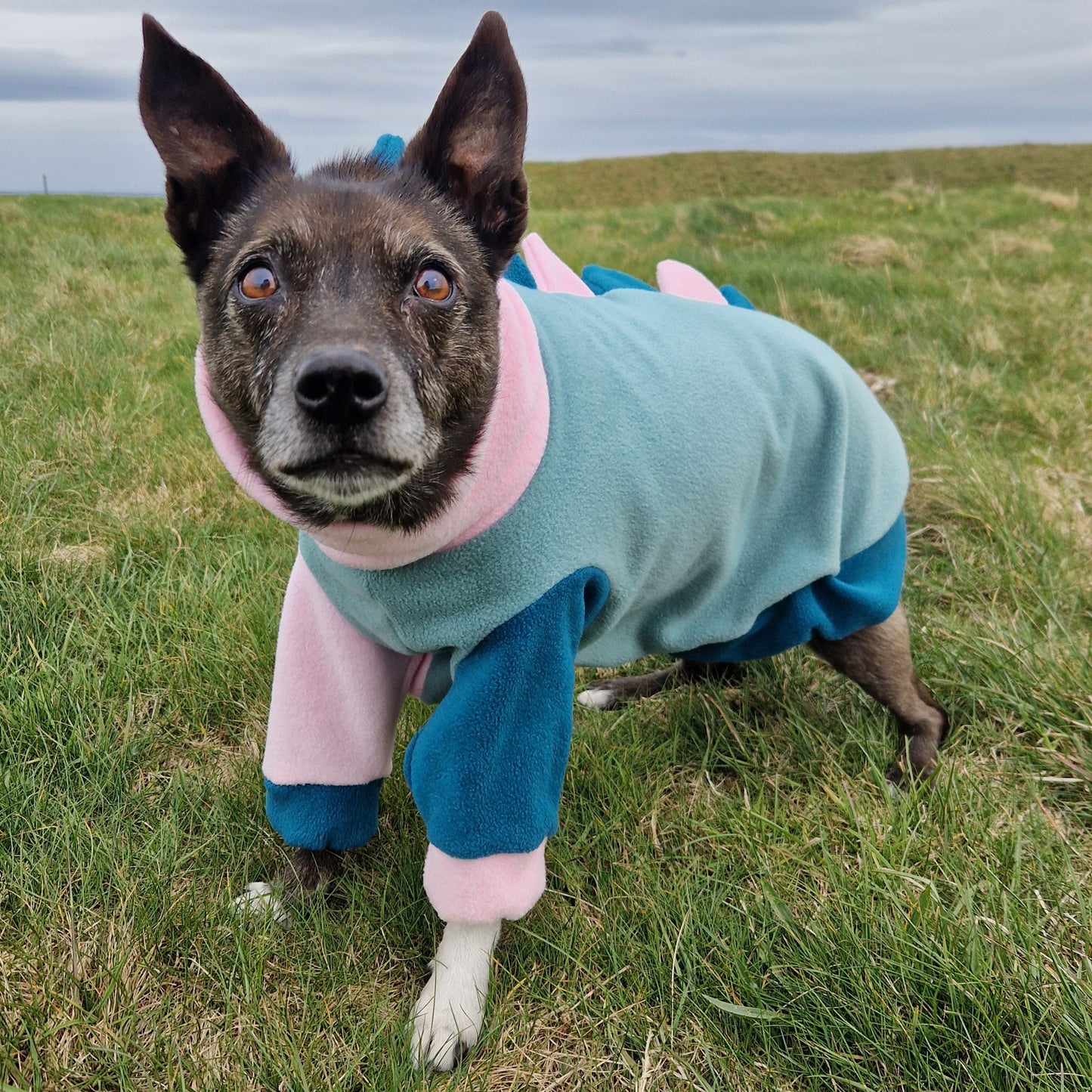 Polar Fleece Dinosaur Jumper