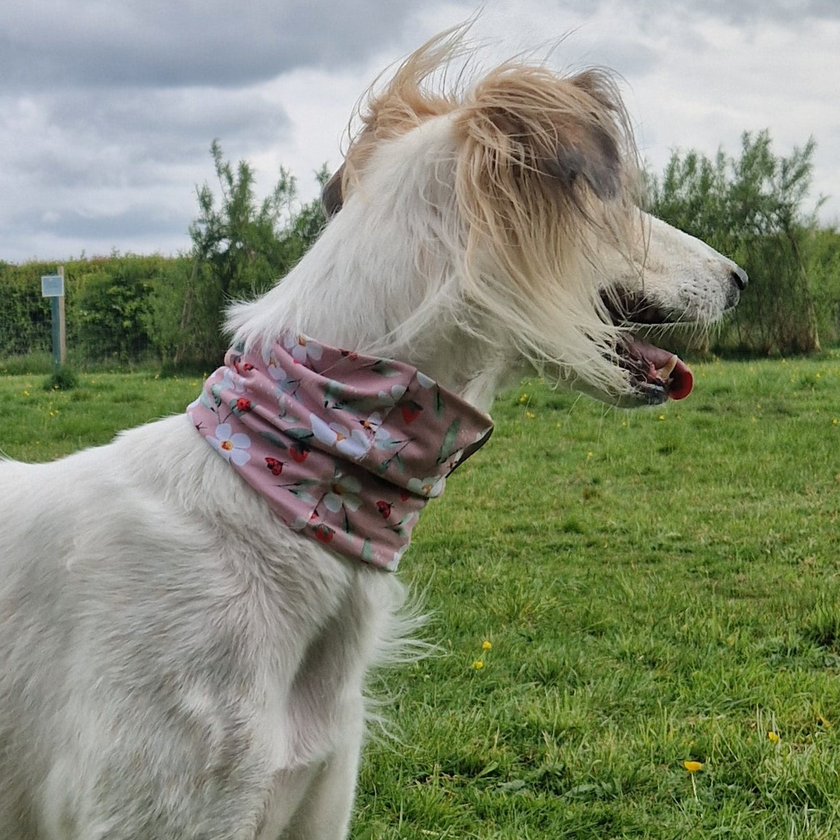 Lightweight Jersey Snood