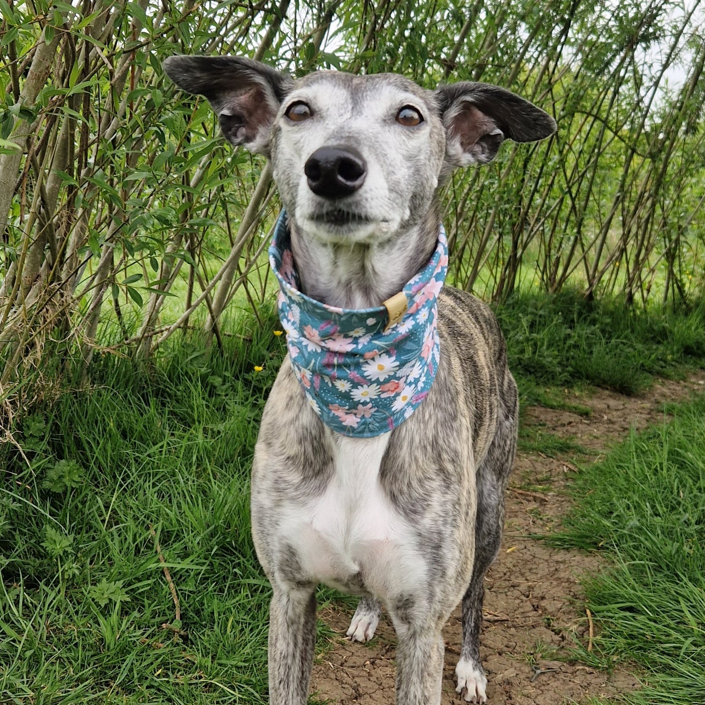 Lightweight Jersey Snood