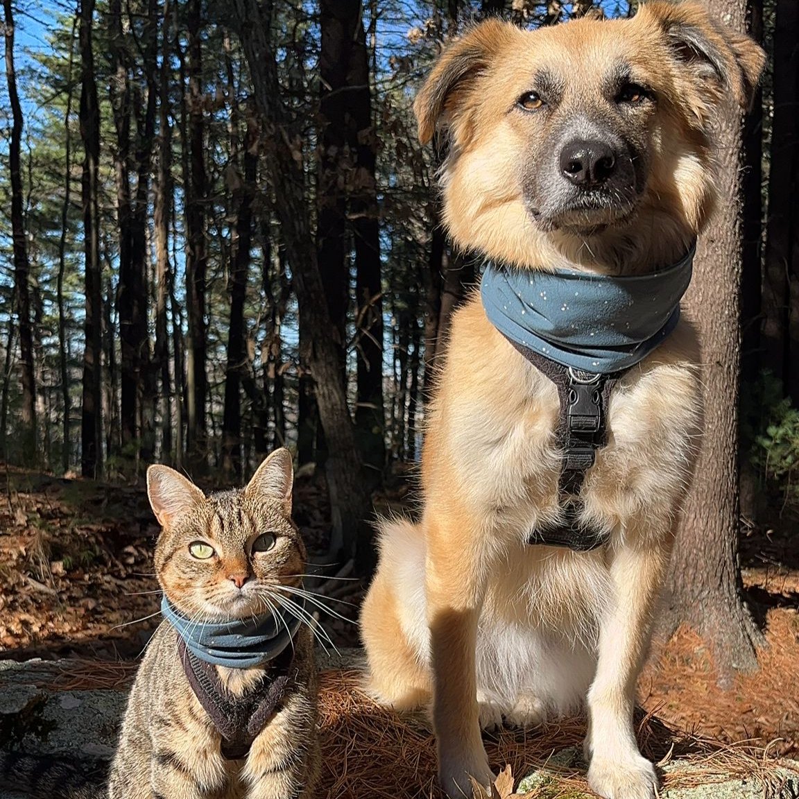 Lightweight Jersey Snood