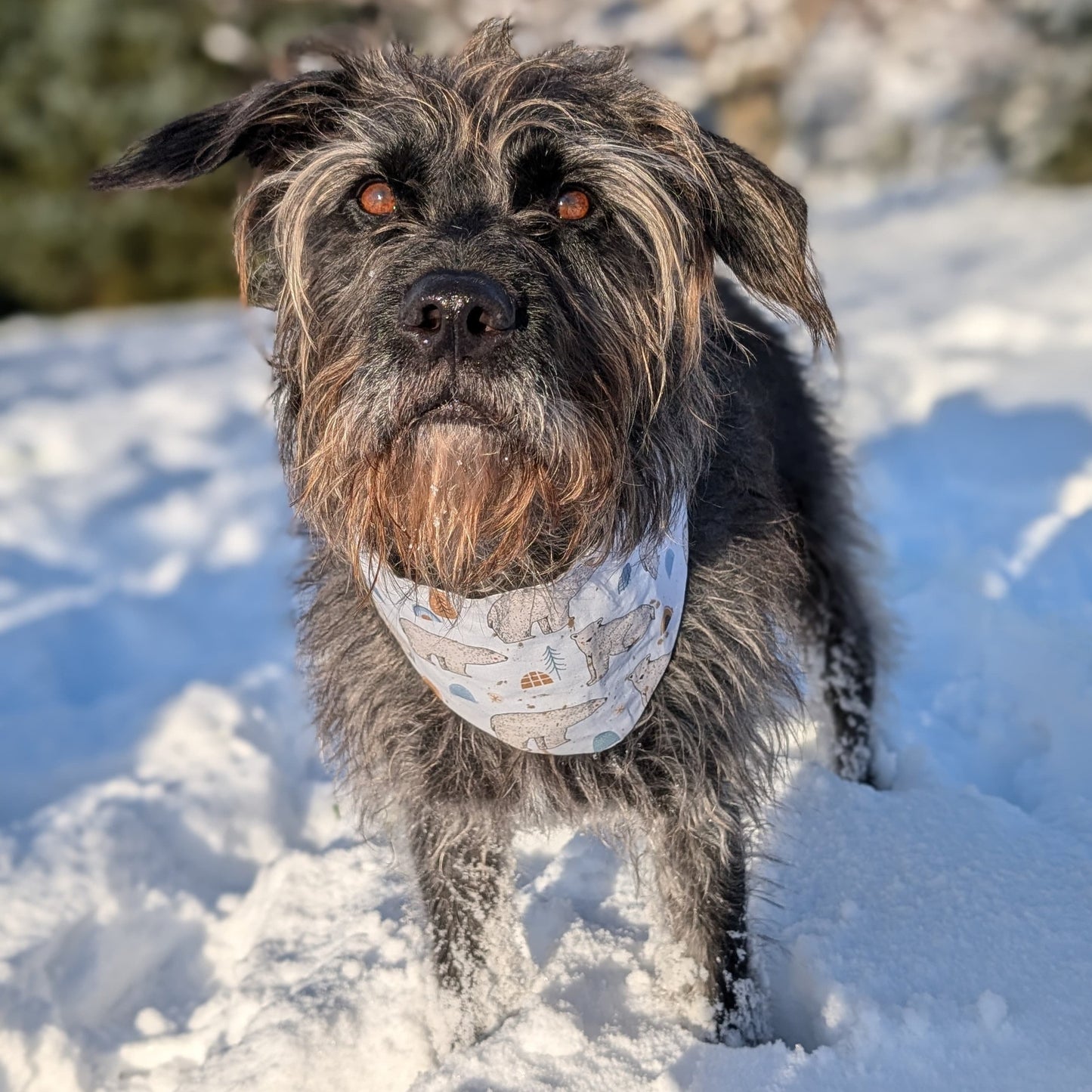 Adjustable bandana
