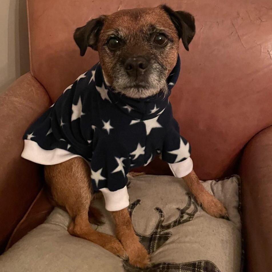 Classic Polar Fleece Jumper