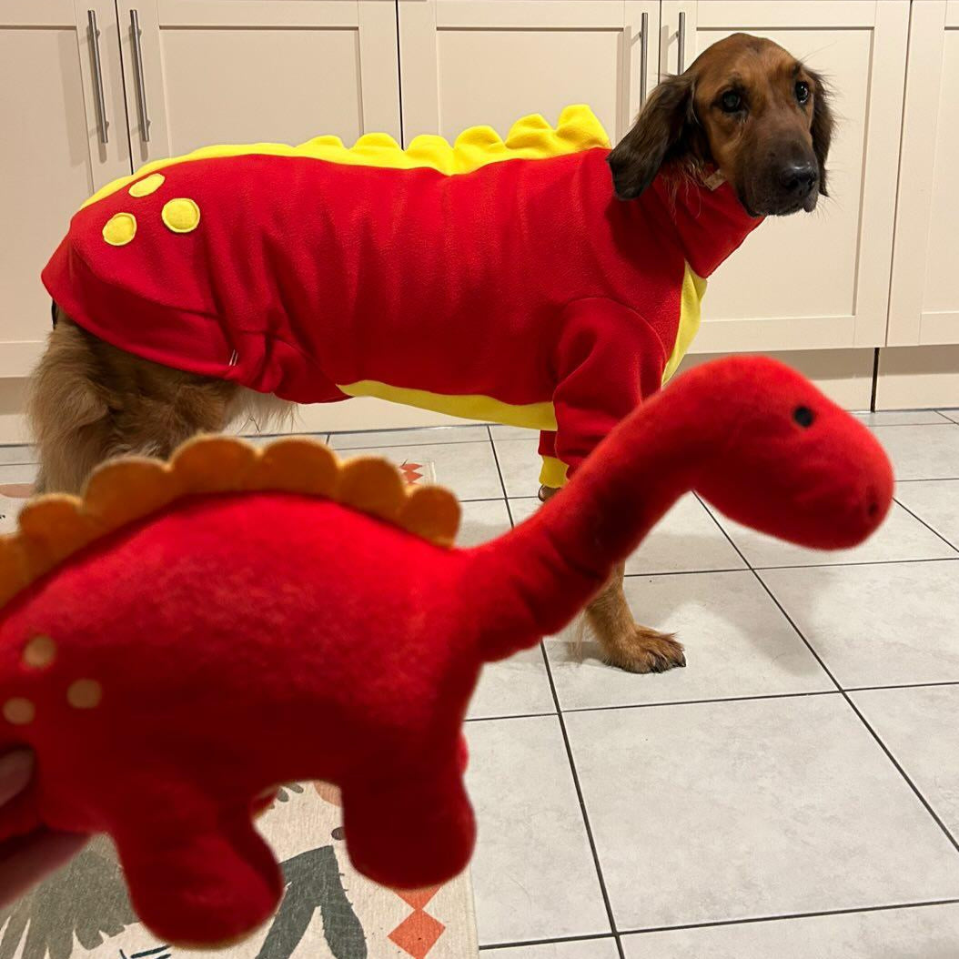 Polar Fleece Dinosaur Jumper