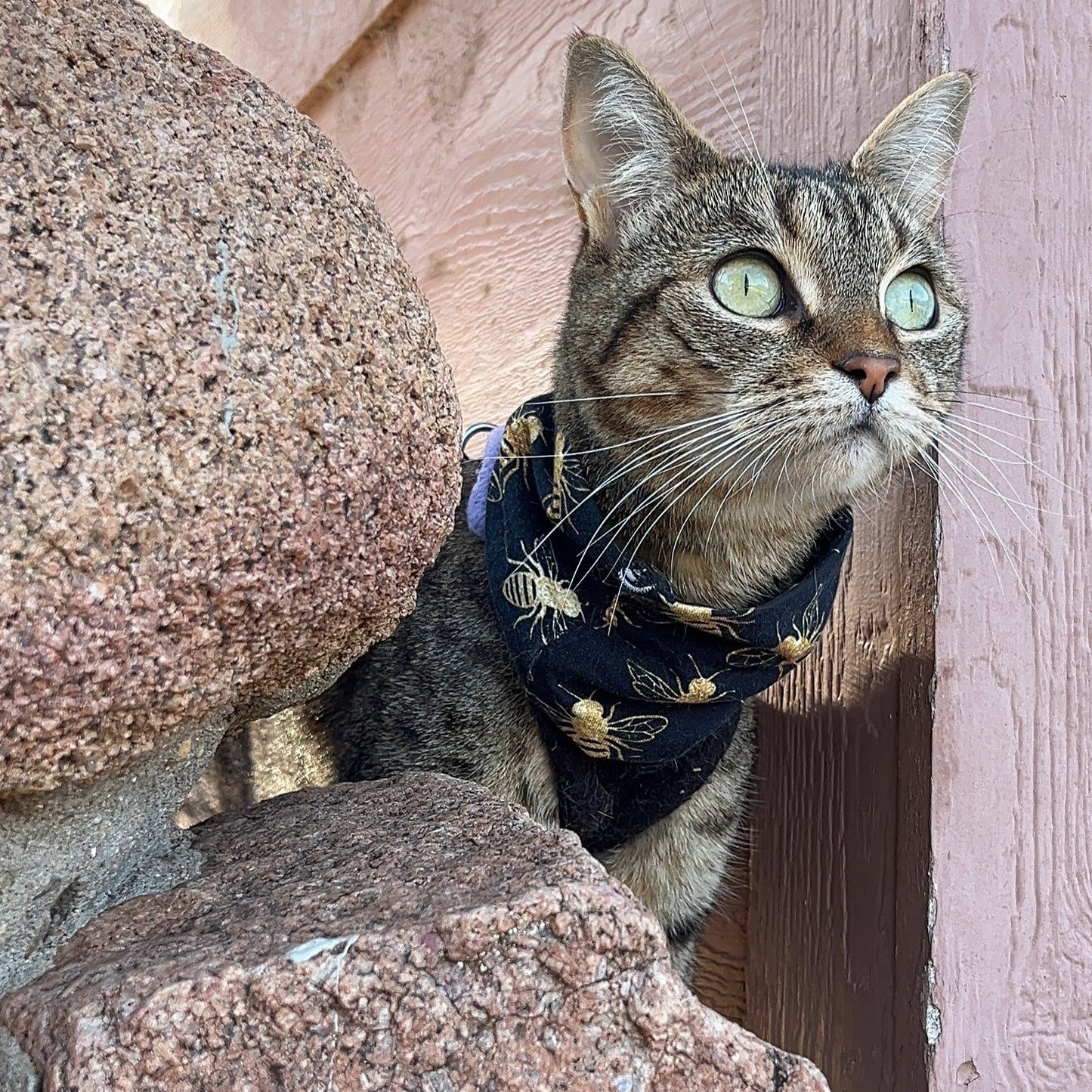 Lightweight Jersey Snood
