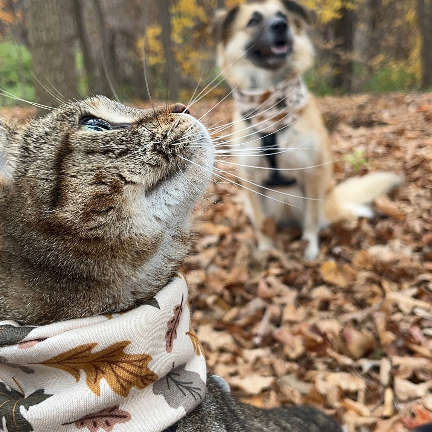 Lightweight Jersey Snood