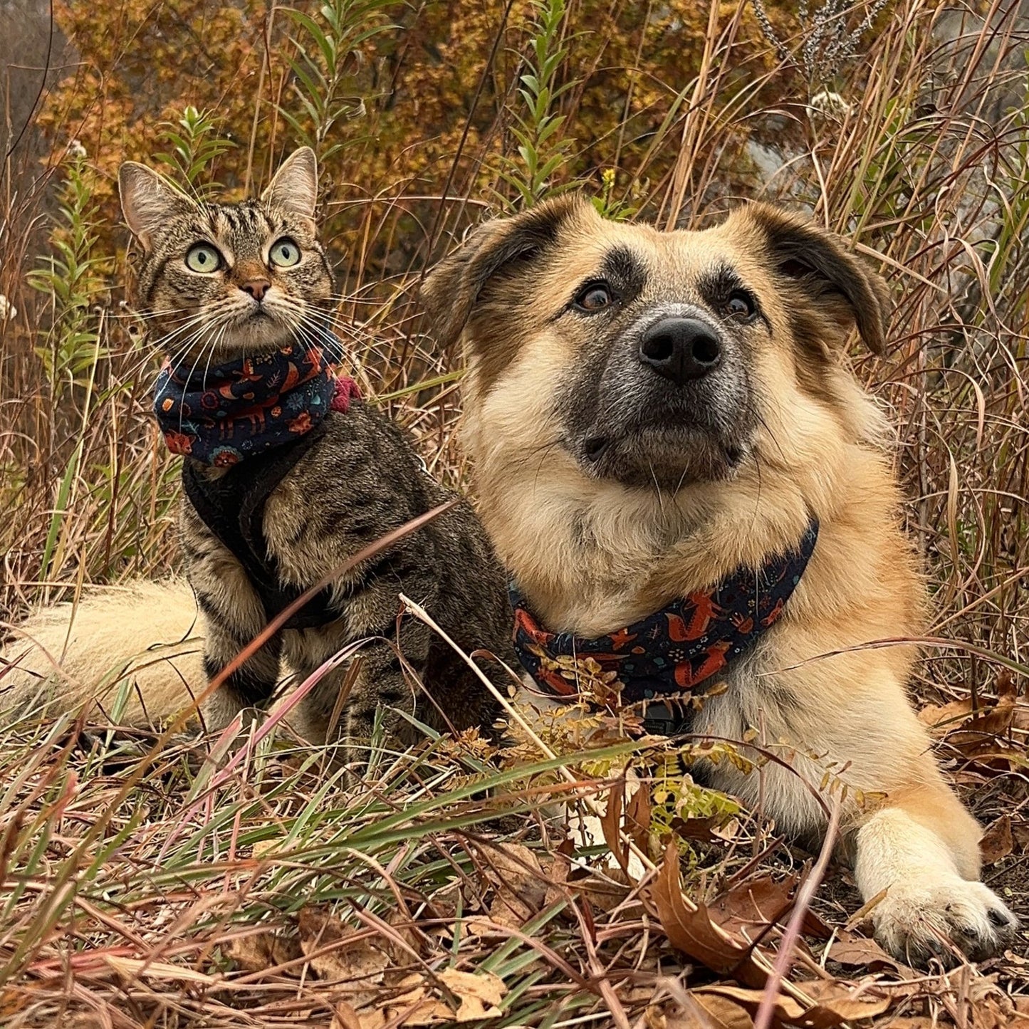 Lightweight Jersey Snood