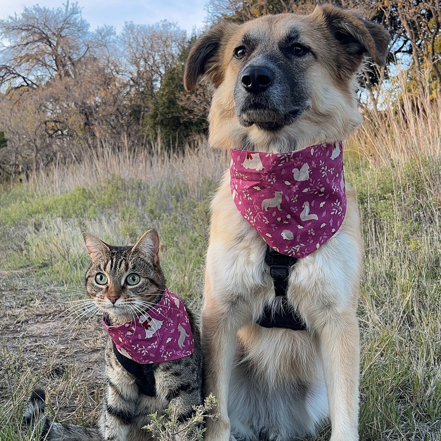 Adjustable bandana