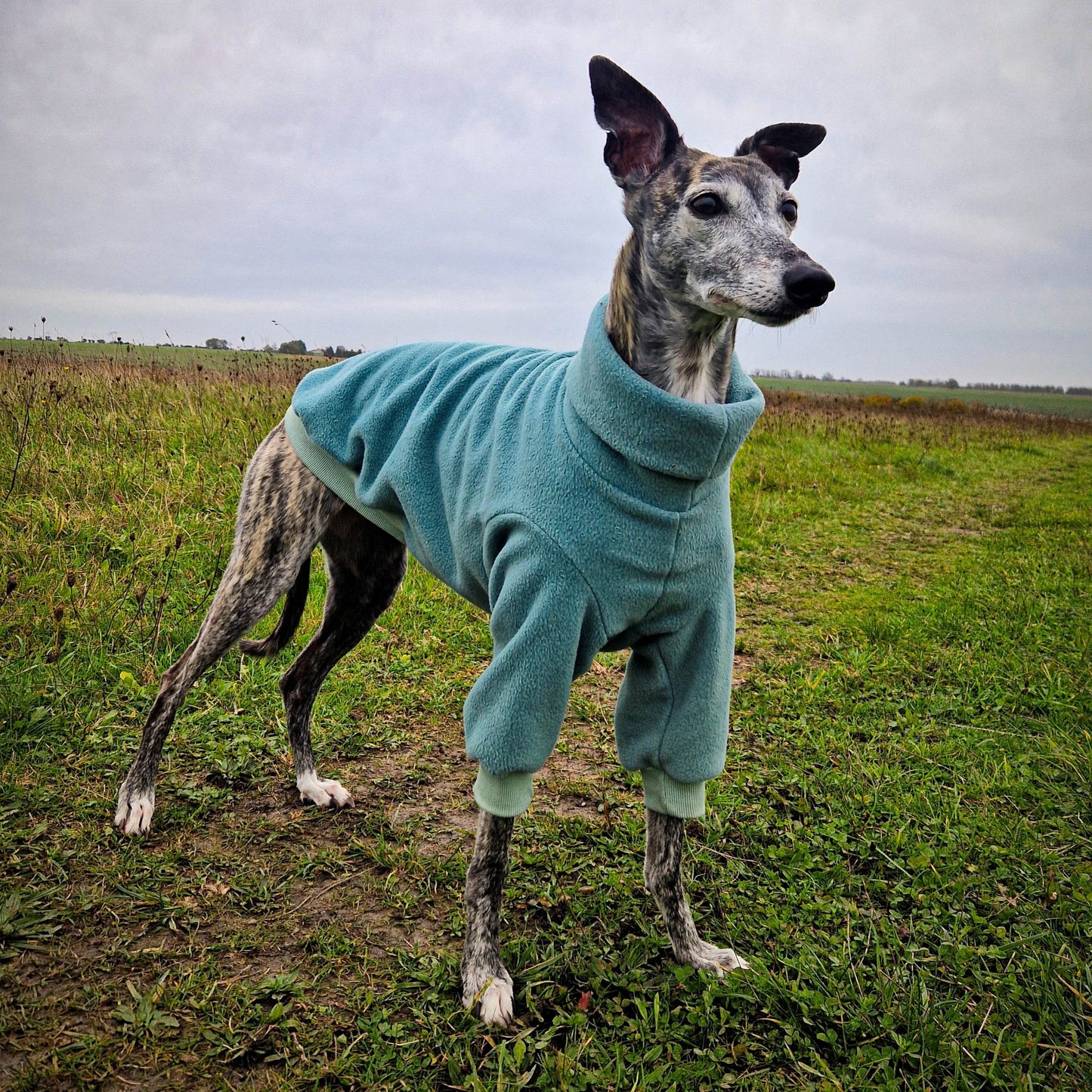 Classic Polar Fleece Jumper