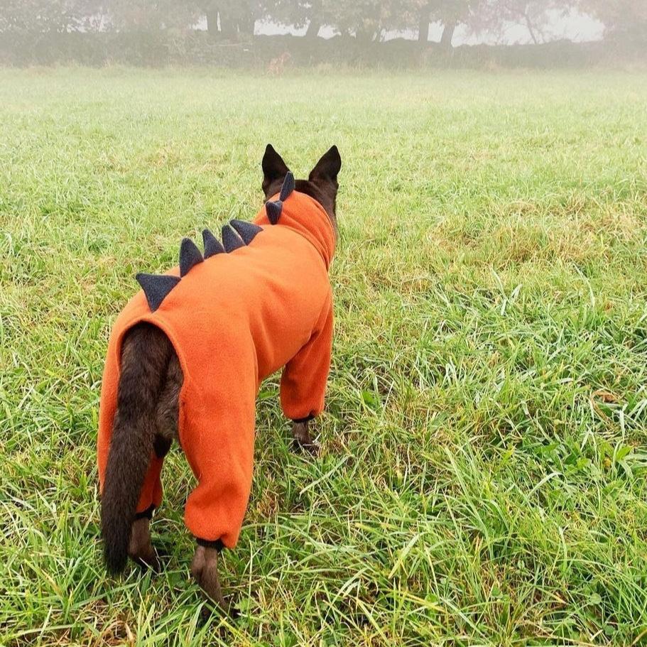 Polar Fleece Dinosaur Jumper
