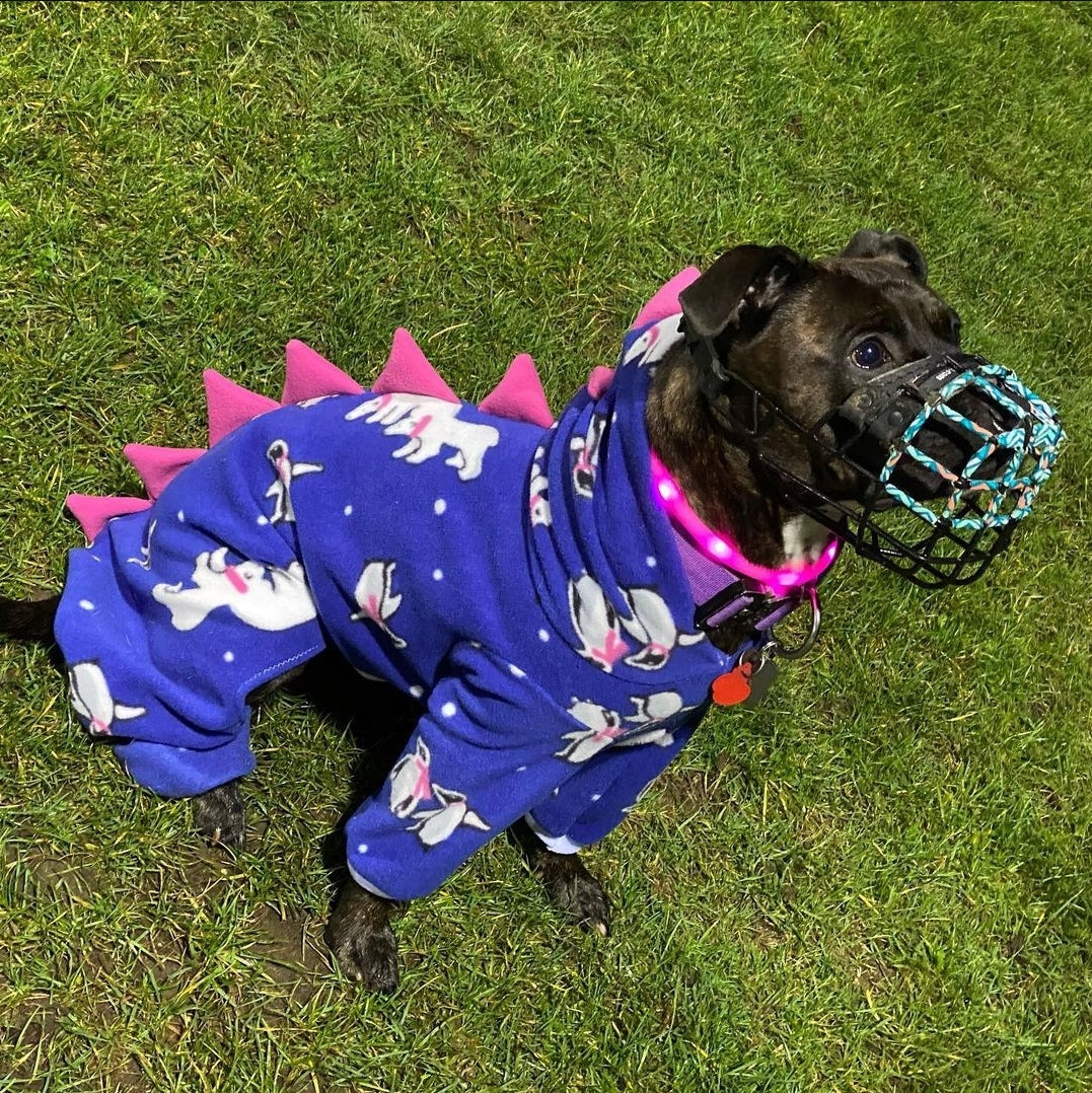 Polar Fleece Dinosaur Jumper