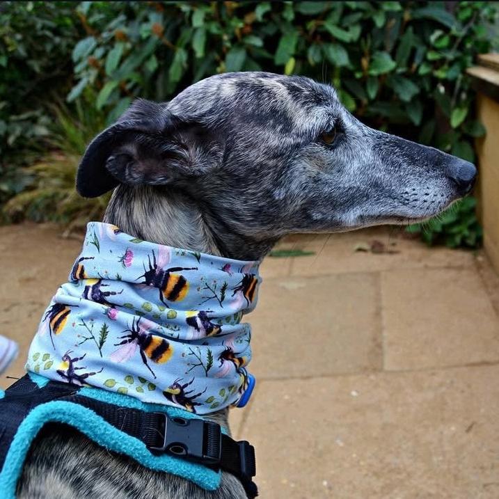 Lightweight Jersey Snood