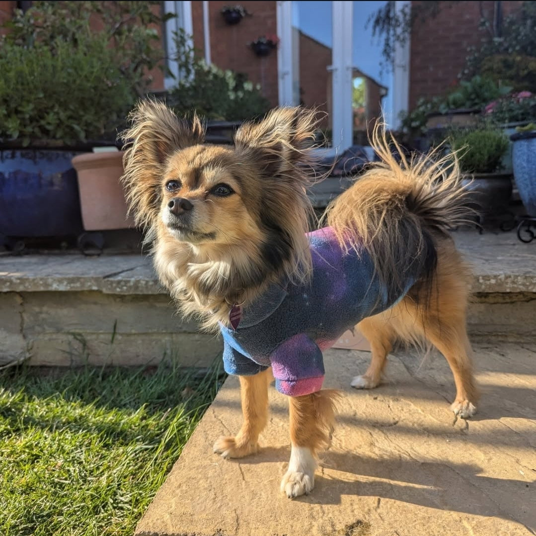Classic Polar Fleece Jumper