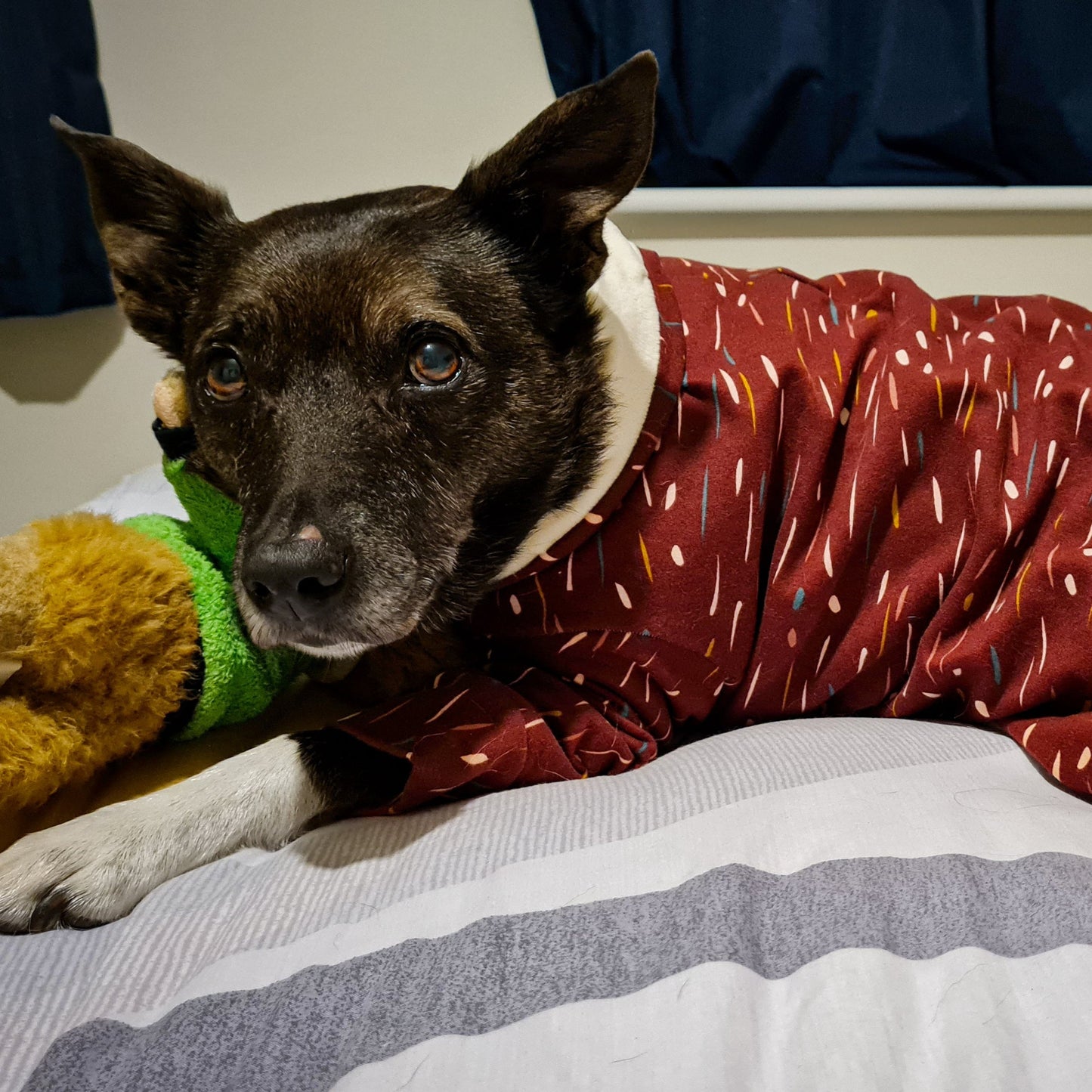 Luxury Fleece Lined Jersey Jumper