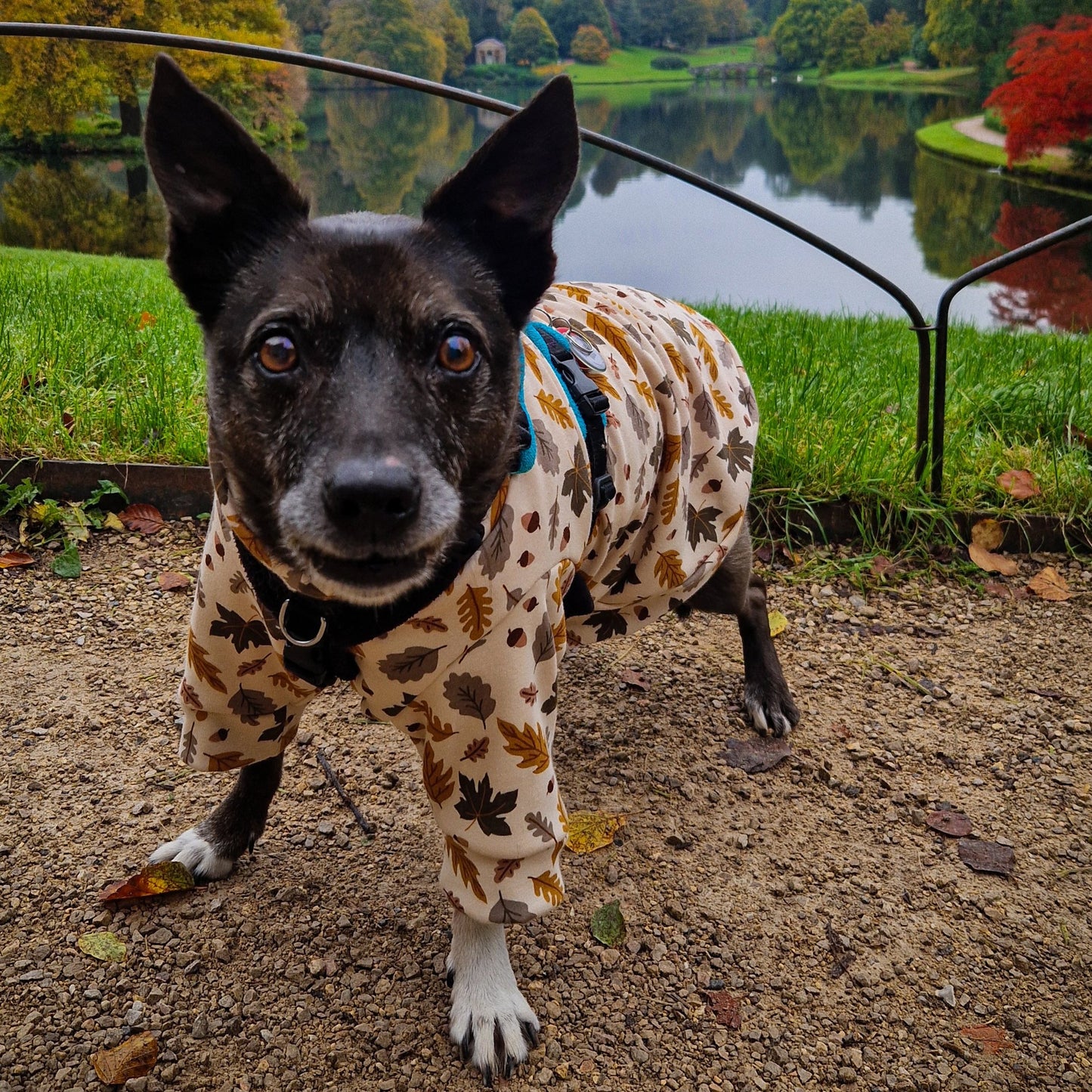 Luxury Fleece Lined Jersey Jumper