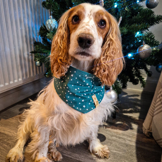 Adjustable bandana