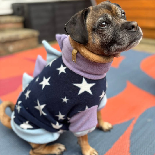 Polar Fleece Dinosaur Jumper