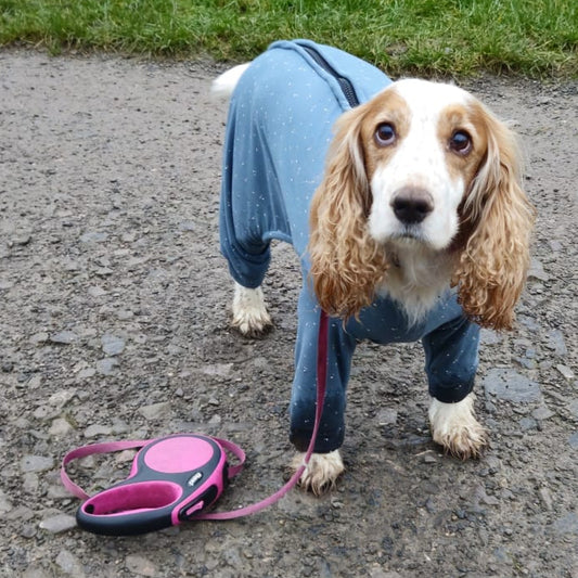 Zip add on for jumpers