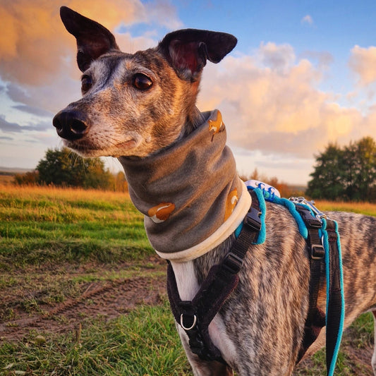 Luxury Fleece Lined Jersey Snood