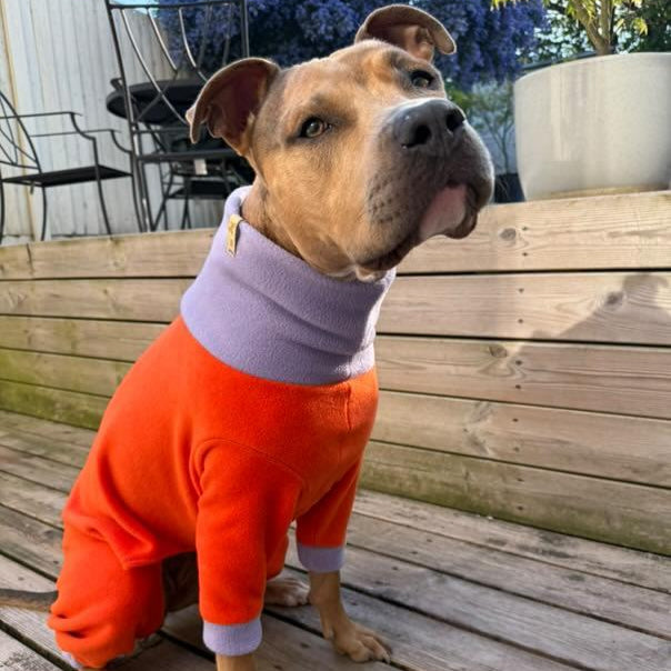 Classic Polar Fleece Onesie