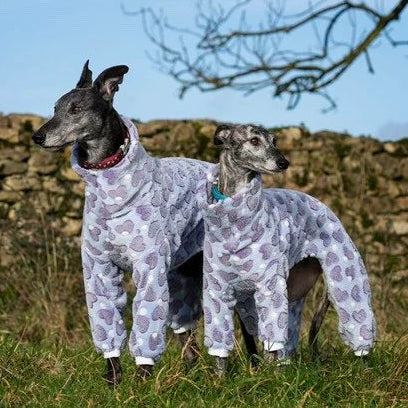 Classic Polar Fleece Onesie