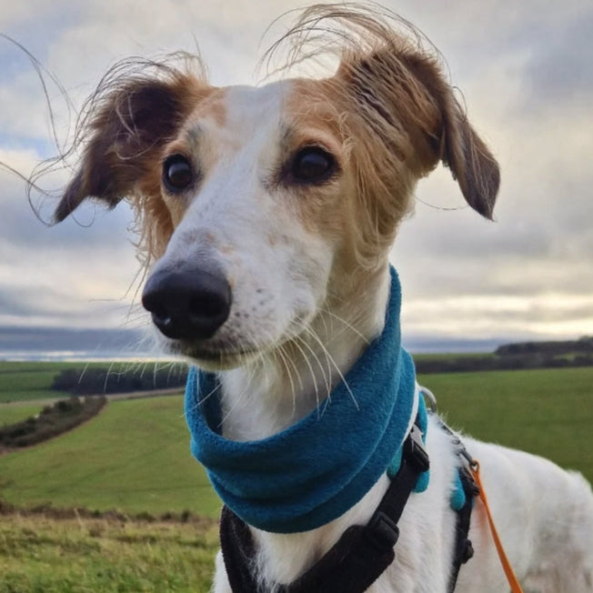 Classic Polar Fleece Snood