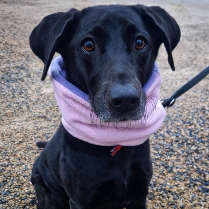 Classic Polar Fleece Snood