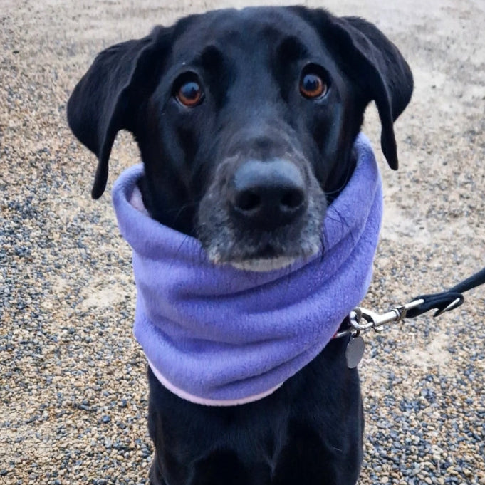Classic Polar Fleece Snood