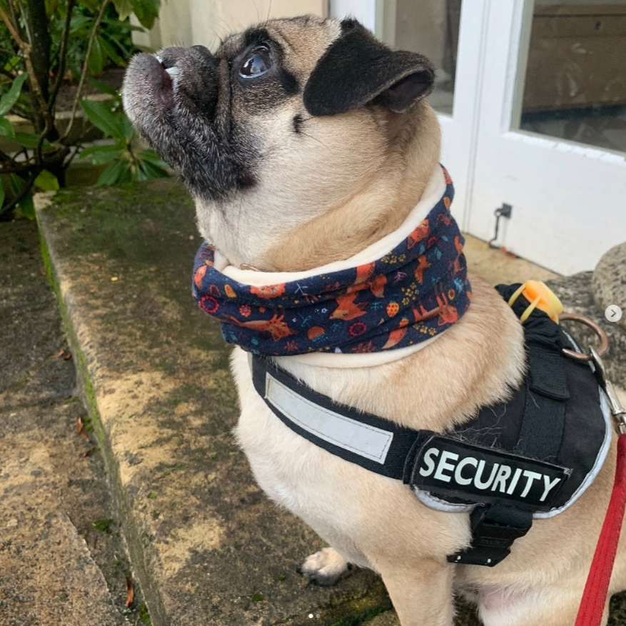 Luxury Fleece Lined Jersey Snood